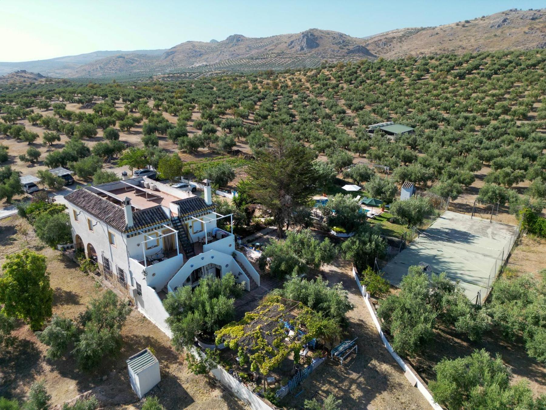 Agroturismo Ecologico El Cortijillo Luque ภายนอก รูปภาพ