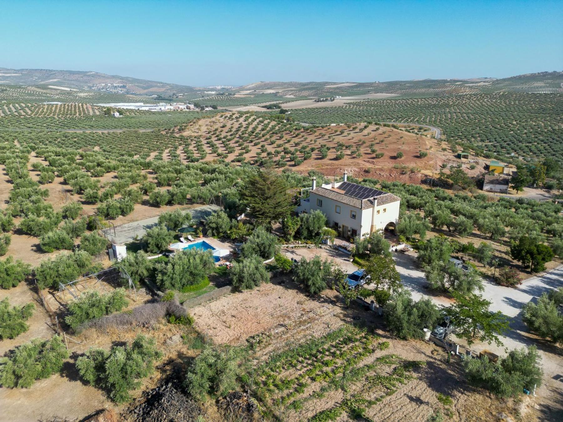 Agroturismo Ecologico El Cortijillo Luque ภายนอก รูปภาพ