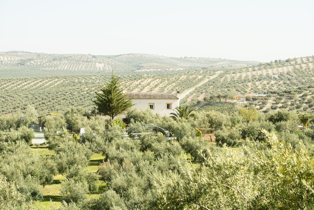 Agroturismo Ecologico El Cortijillo Luque ภายนอก รูปภาพ