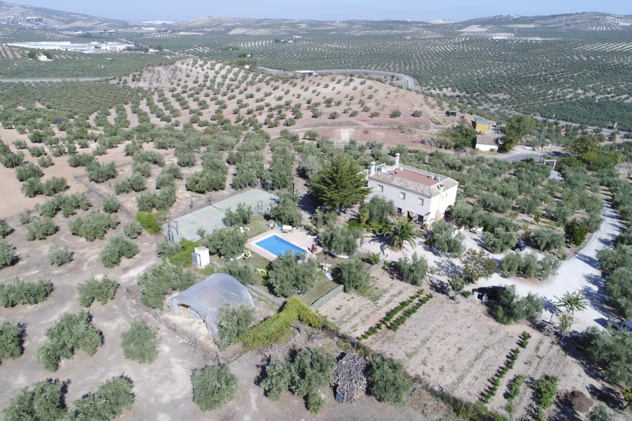 Agroturismo Ecologico El Cortijillo Luque ภายนอก รูปภาพ